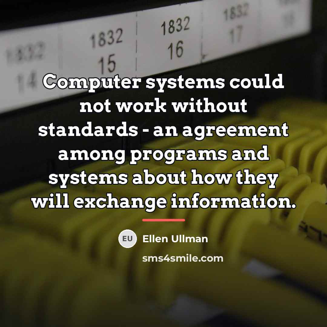 “Computer systems could not work without standards - an agreement…” quote by Ellen Ullman