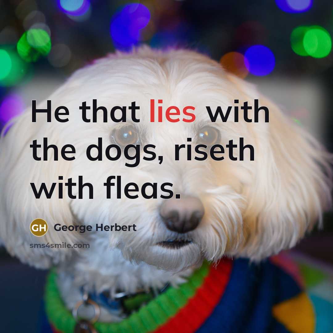 “He that lies with the dogs, riseth with fleas.…” quote by George Herbert