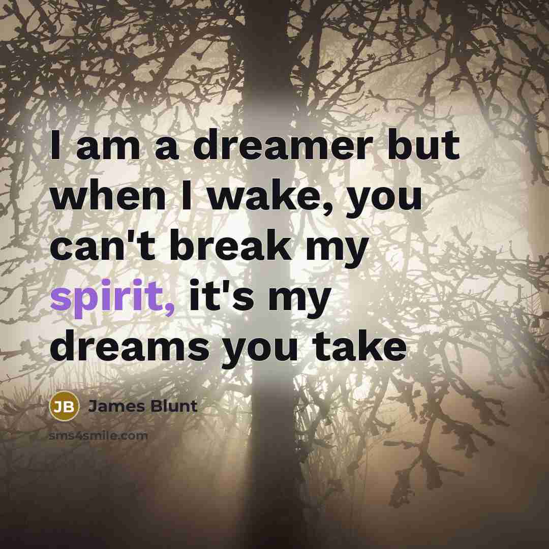 “I am a dreamer but when I wake, you can't…” quote by James Blunt
