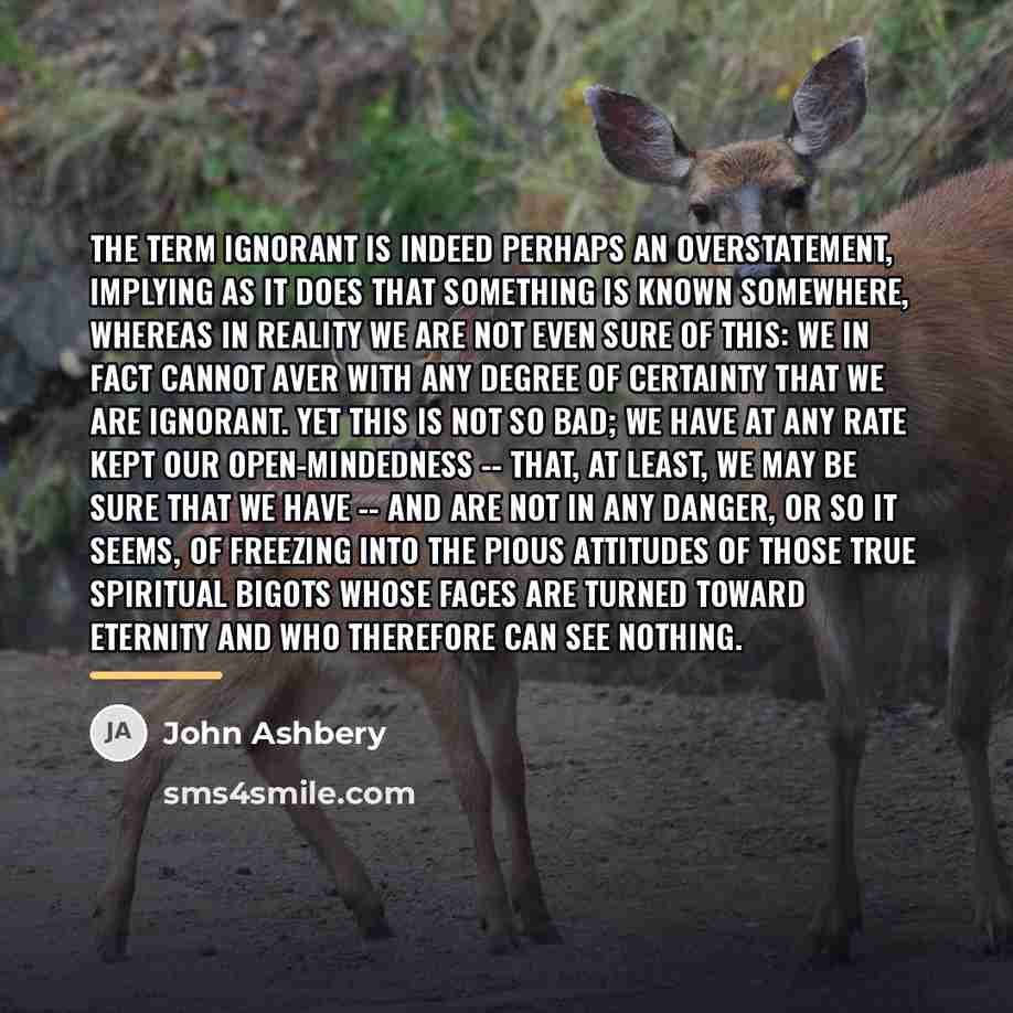 “The term ignorant is indeed perhaps an overstatement, implying as…” quote by John Ashbery
