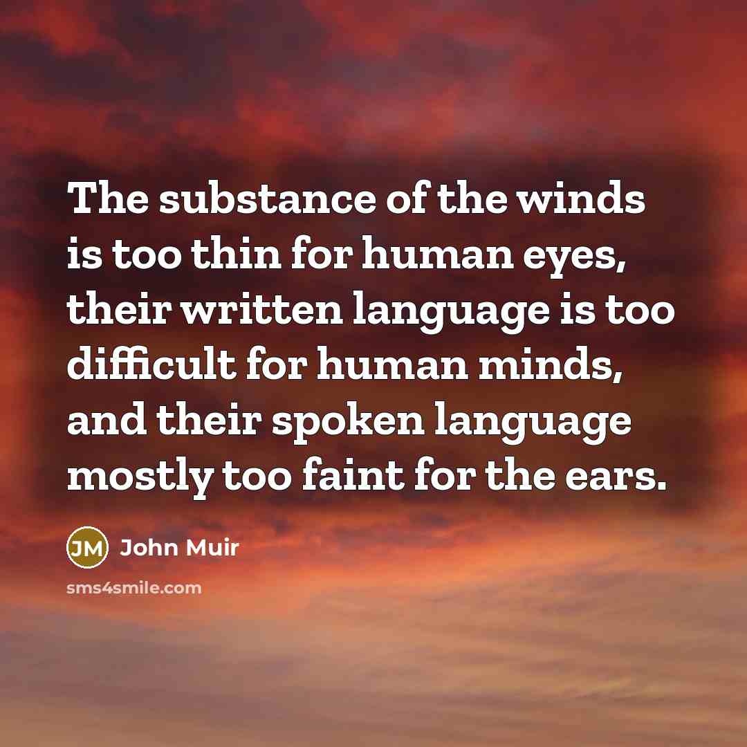 “The substance of the winds is too thin for human…” quote by John Muir