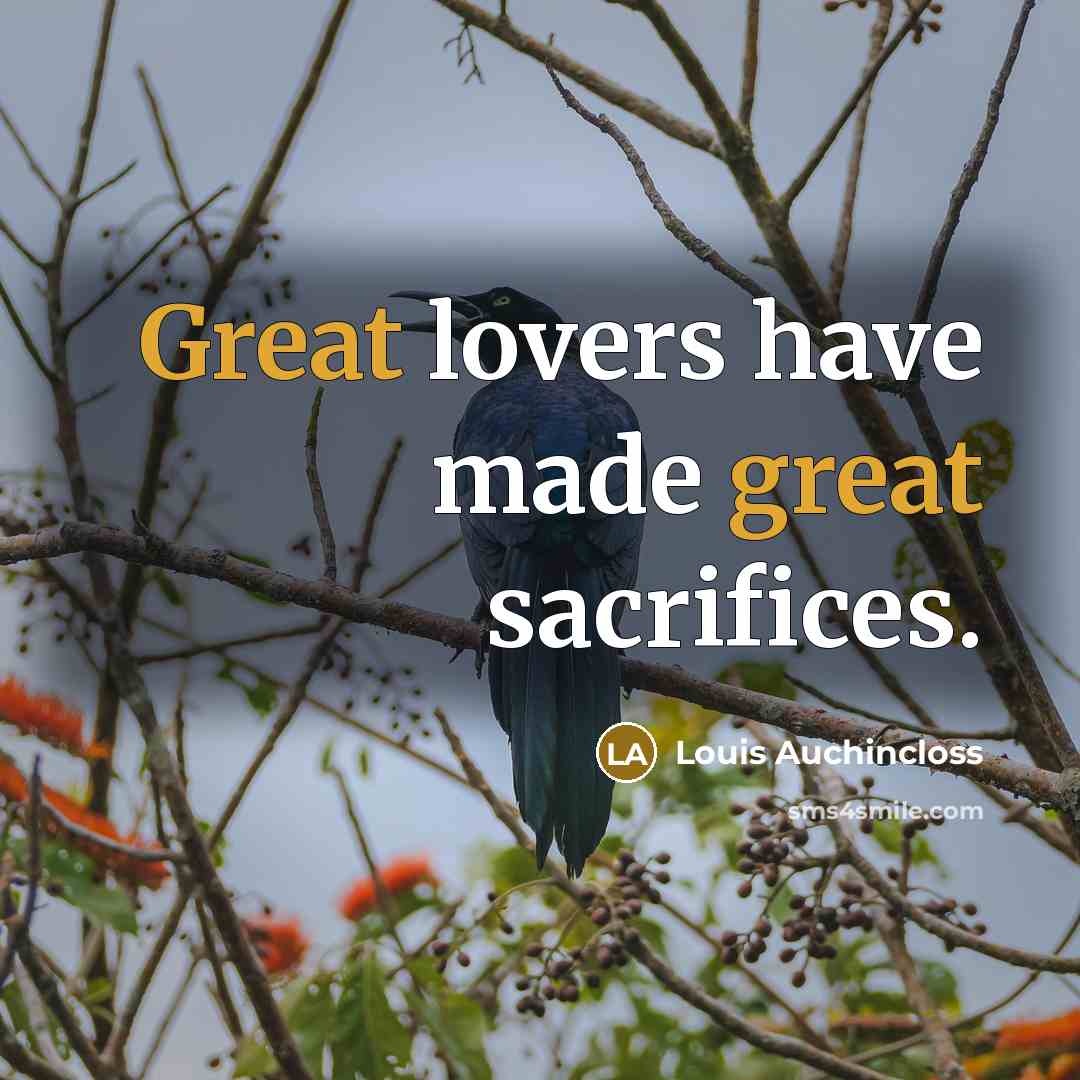 “Great lovers have made great sacrifices.…” quote by Louis Auchincloss
