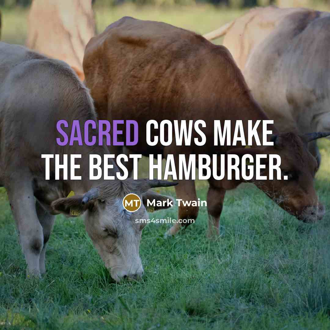 “Sacred cows make the best hamburger.…” quote by Mark Twain