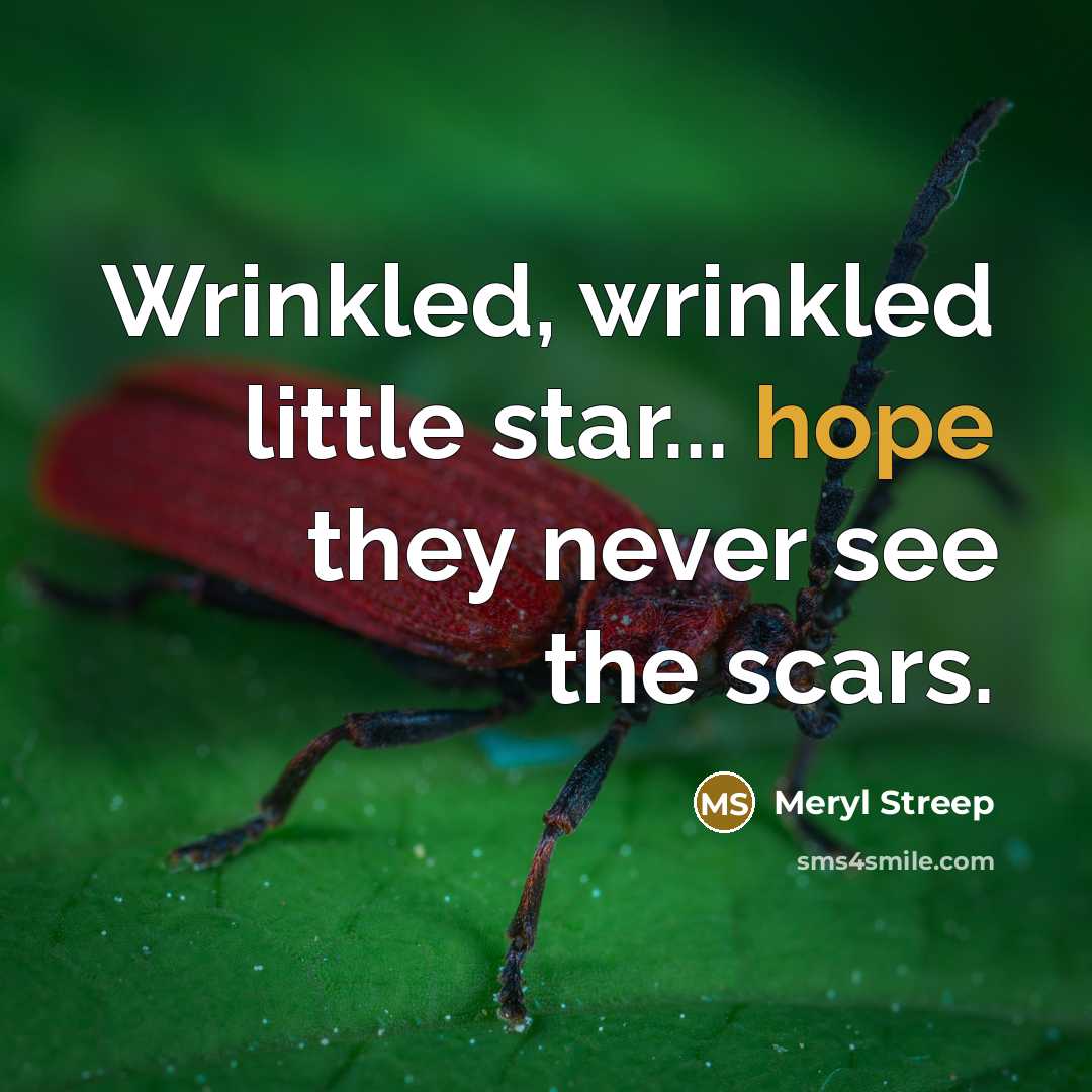“Wrinkled, wrinkled little star... hope they never see the scars.…” quote by Meryl Streep