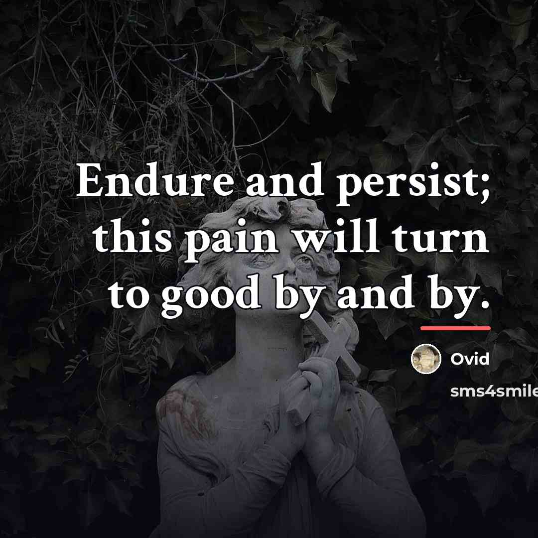 “Endure and persist; this pain will turn to good by…” quote by Ovid