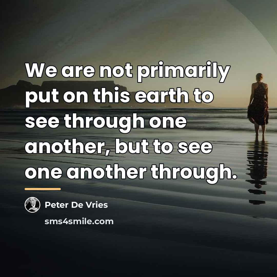 “We are not primarily put on this earth to see…” quote by Peter De Vries
