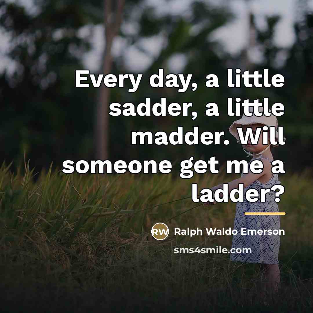 “Every day, a little sadder, a little madder. Will someone…” quote by Ralph Waldo Emerson