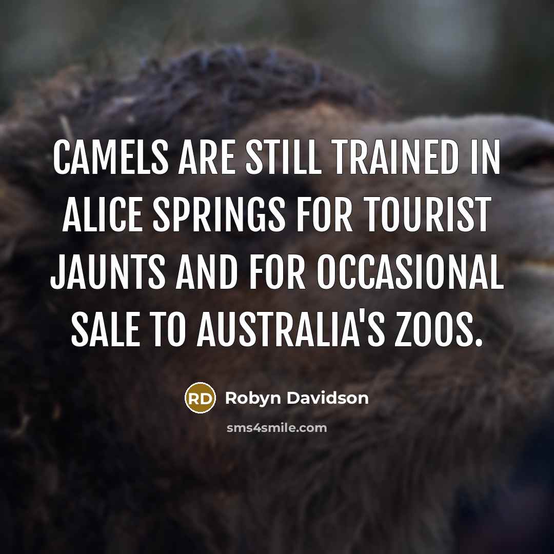 “Camels are still trained in Alice Springs for tourist jaunts…” quote by Robyn Davidson
