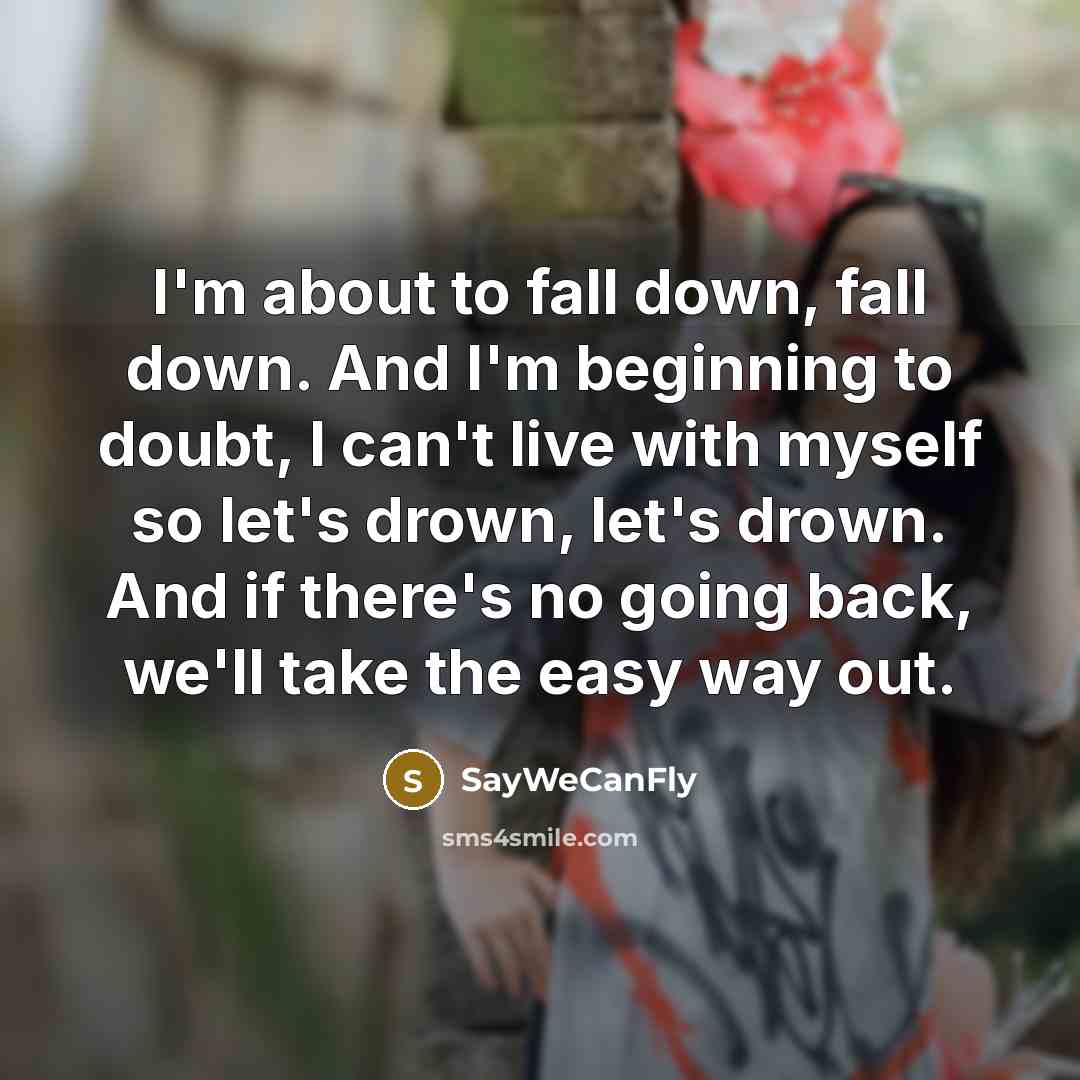 “I'm about to fall down, fall down. And I'm beginning…” quote by SayWeCanFly