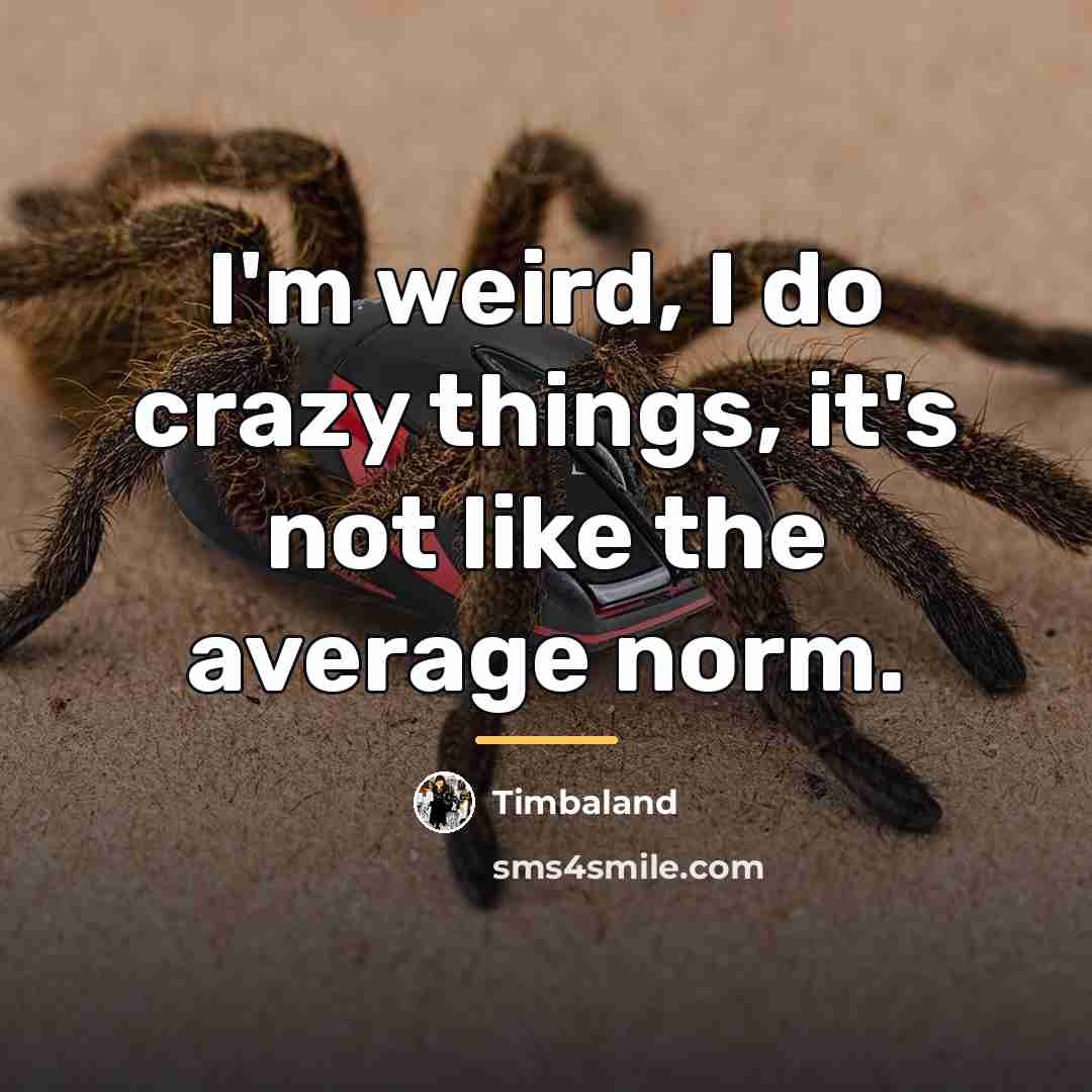 “I'm weird, I do crazy things, it's not like the…” quote by Timbaland