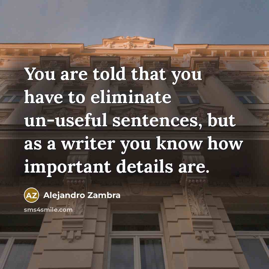 “You are told that you have to eliminate un-useful sentences,…” quote by Alejandro Zambra