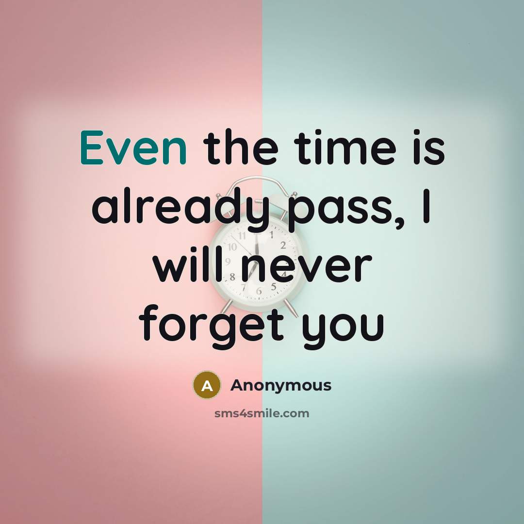 “Even the time is already pass, I will never forget you” quote by Anonymous