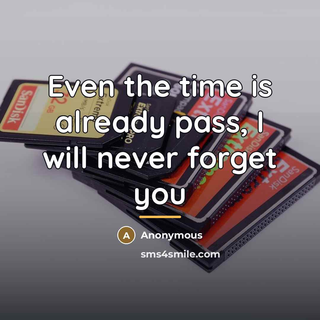 “Even the time is already pass, I will never forget…” quote by Anonymous