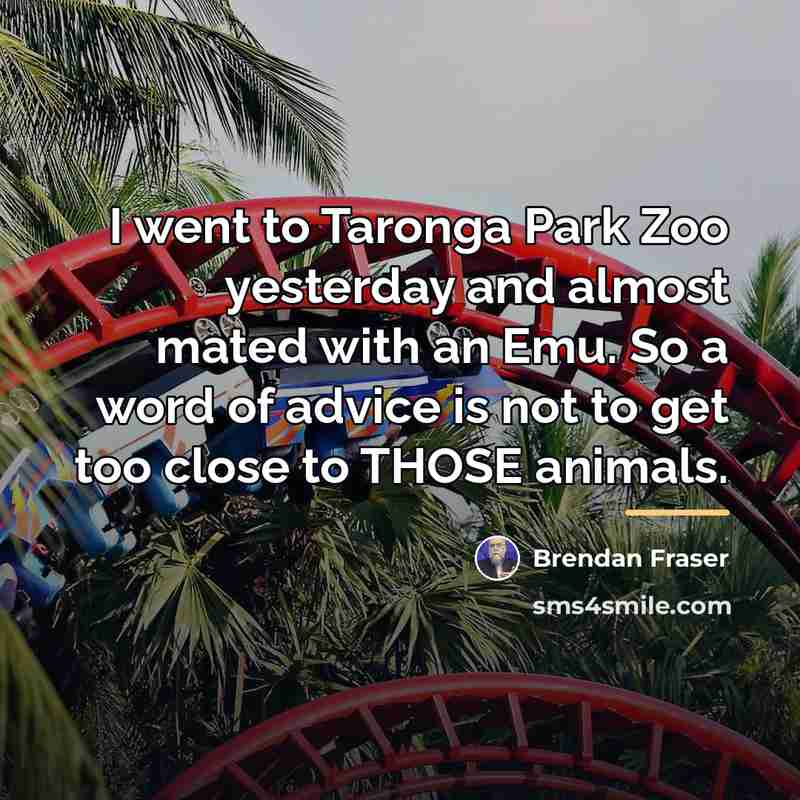 “I went to Taronga Park Zoo yesterday and almost mated…” quote by Brendan Fraser