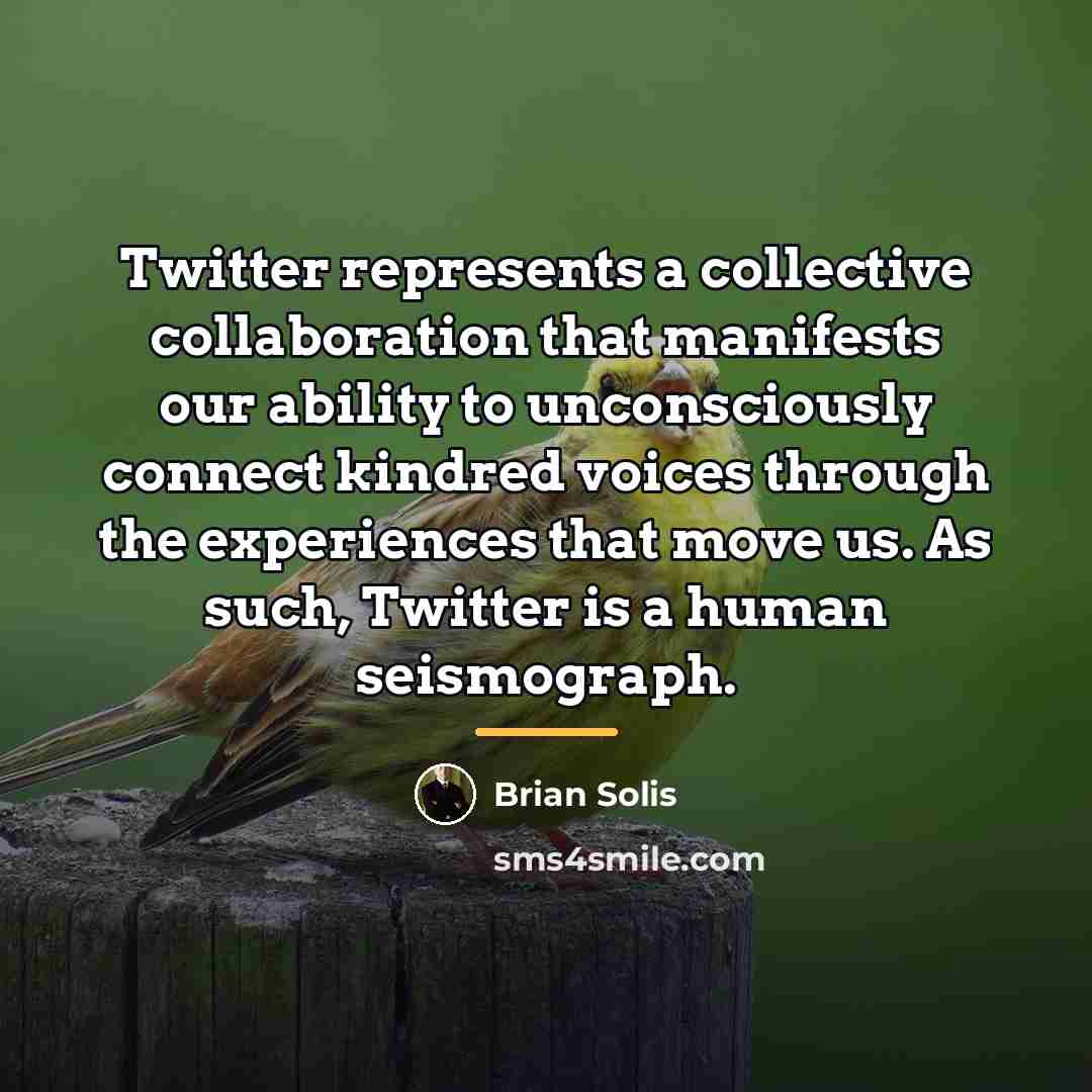 “Twitter represents a collective collaboration that manifests our ability to…” quote by Brian Solis