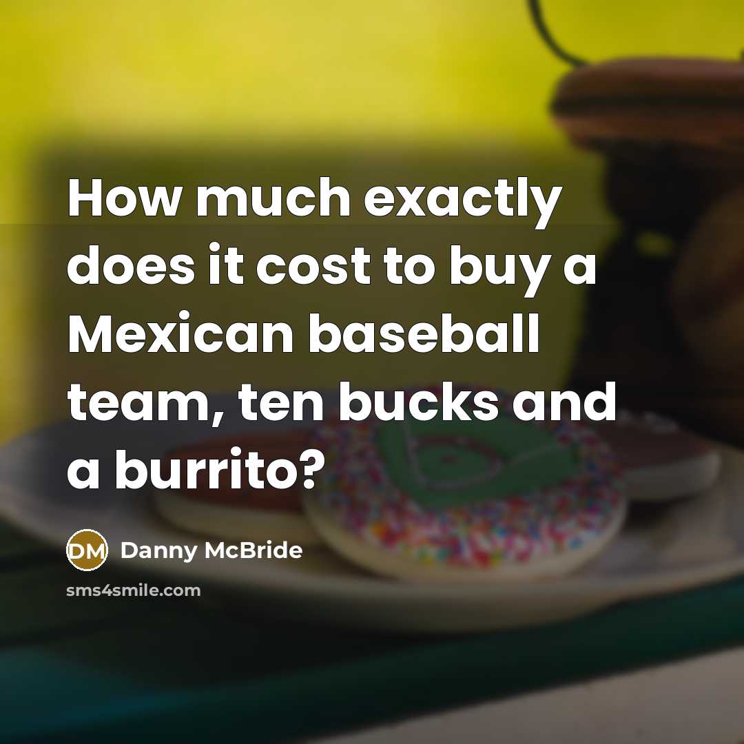 “How much exactly does it cost to buy a Mexican baseball team, ten bucks and a burrito?” quote by Danny Mcbride