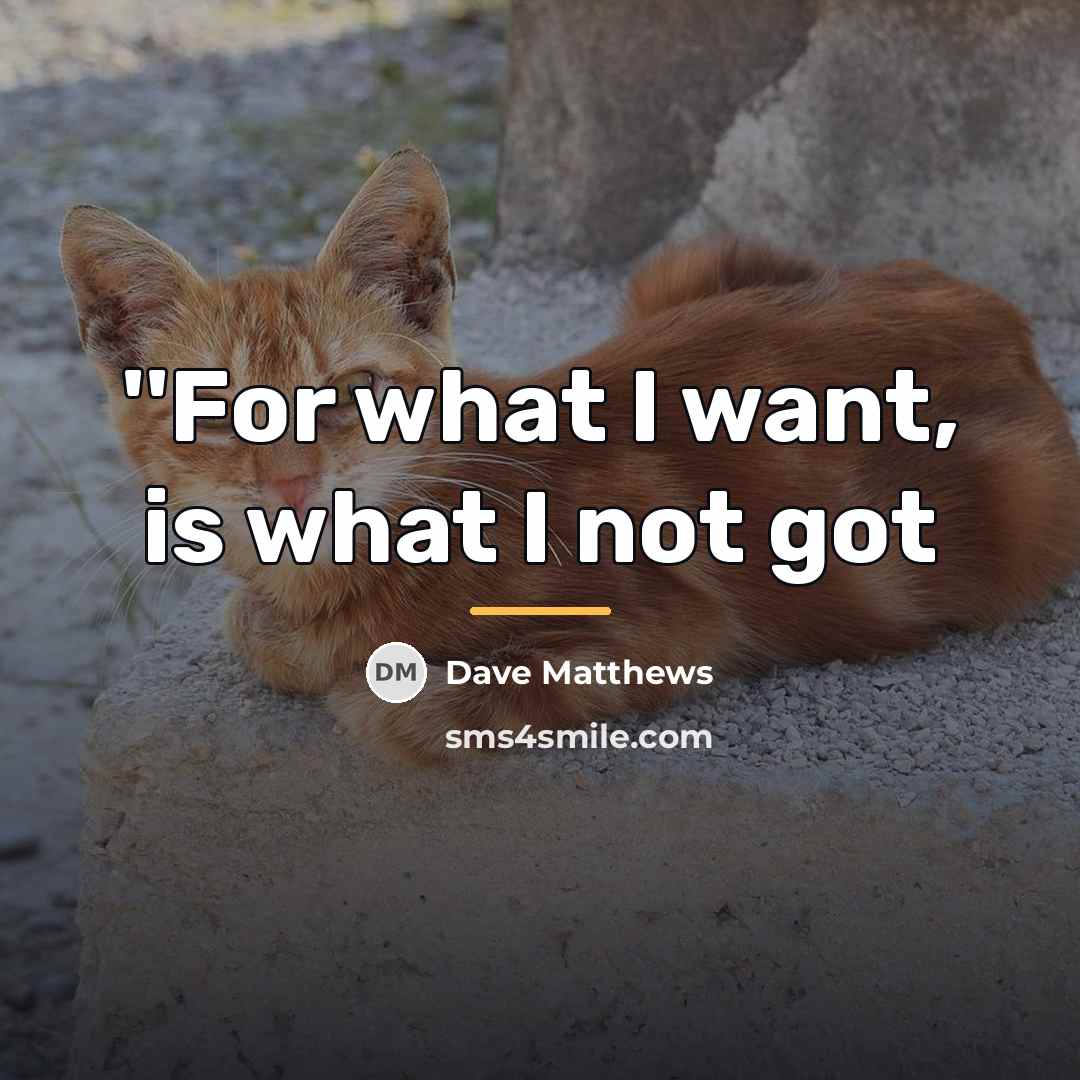 “''For what I want, is what I not got…” quote by Dave Matthews