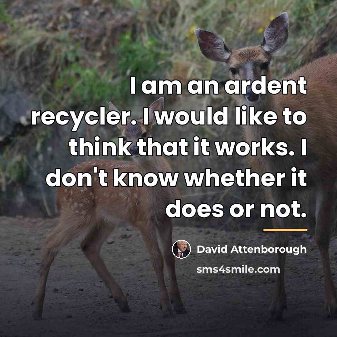 “I am an ardent recycler. I would like to think…” quote by David Attenborough