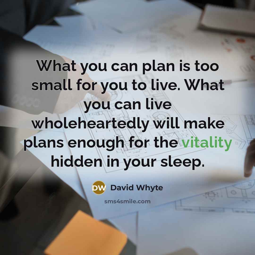 “What you can plan is too small for you to…” quote by David Whyte