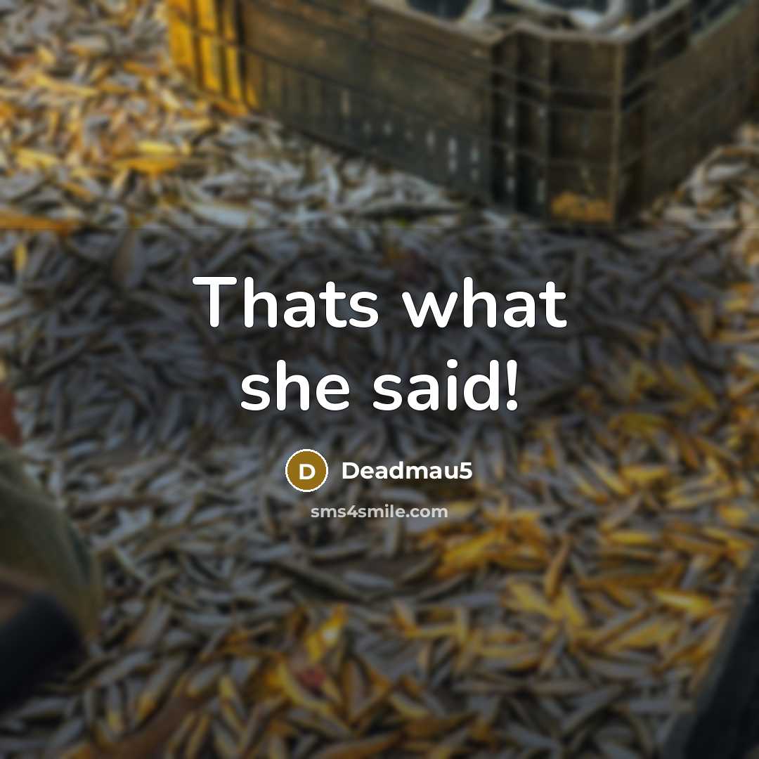 “Thats what she said!…” quote by Deadmau5
