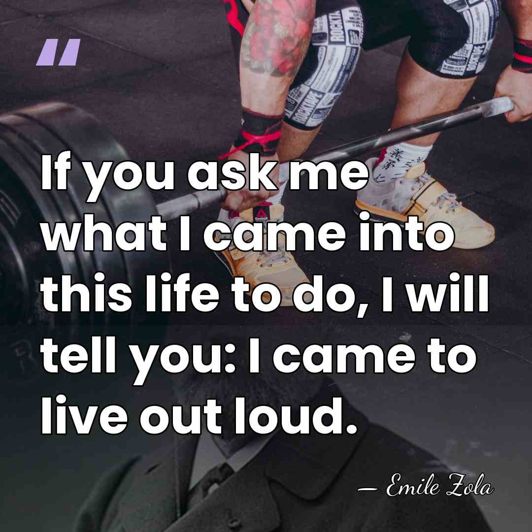 If you ask me what I came into this life to do,&hellip; - Emile Zola
