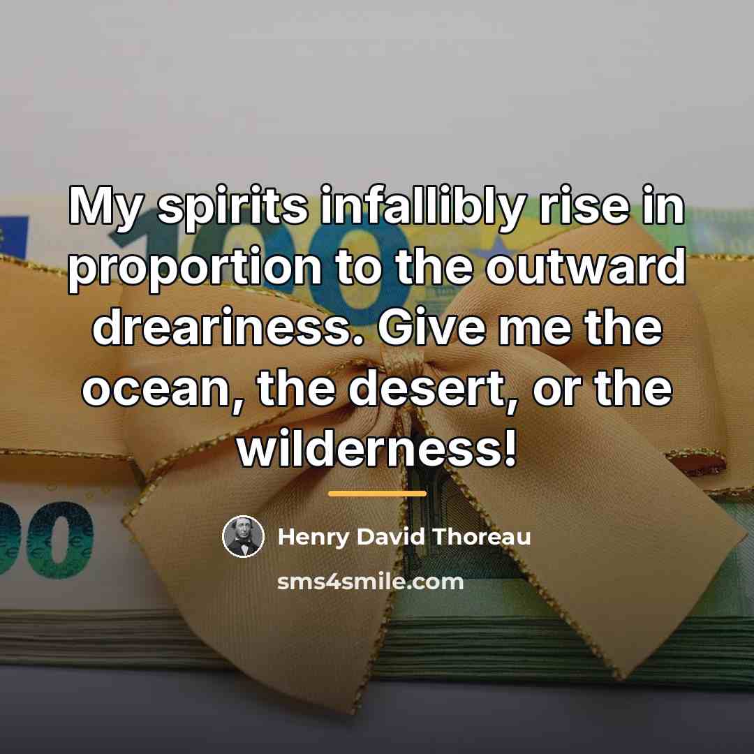“My spirits infallibly rise in proportion to the outward dreariness.…” quote by Henry David Thoreau