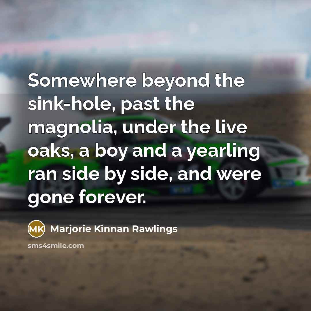 “Somewhere beyond the sink-hole, past the magnolia, under the live…” quote by Marjorie Kinnan Rawlings