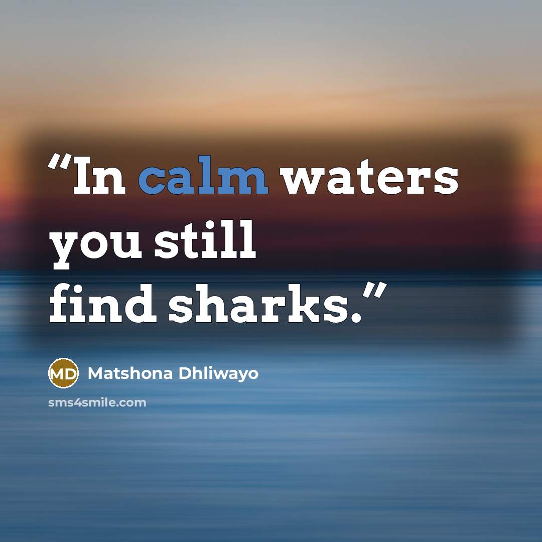 “In calm waters you still find sharks.” quote by Matshona Dhliwayo