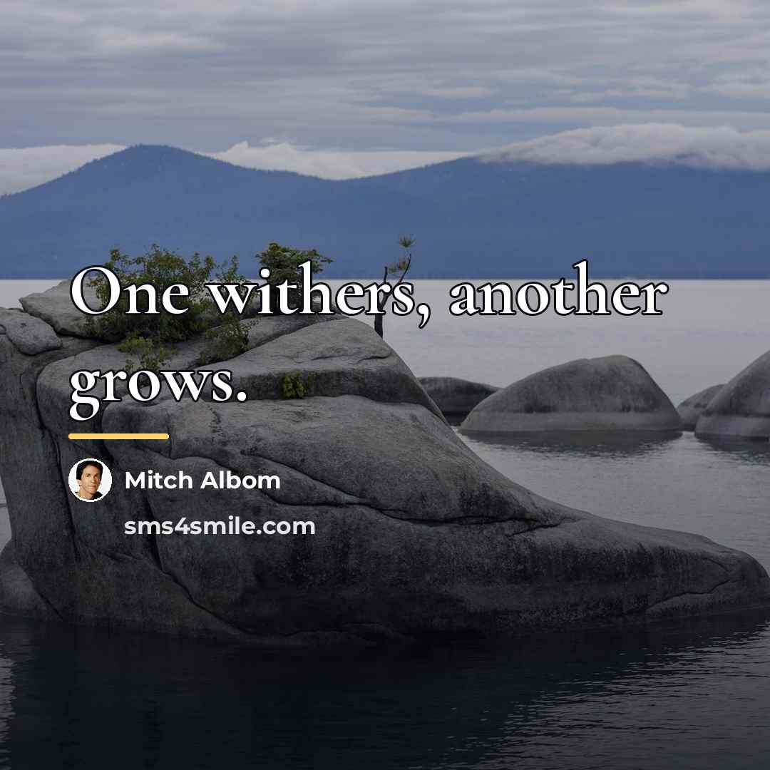 “One withers, another grows.…” quote by Mitch Albom