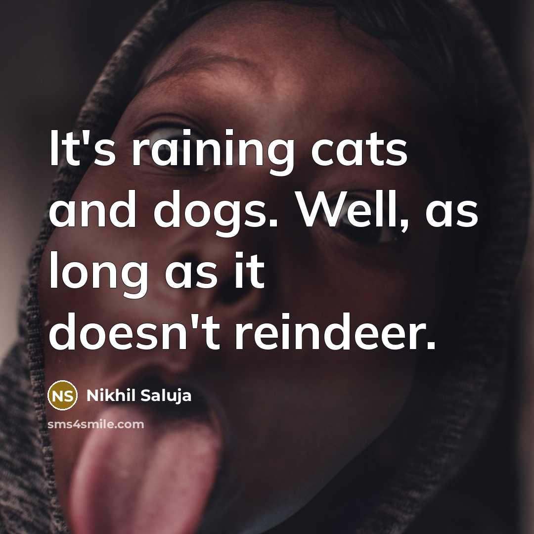 “It's raining cats and dogs. Well, as long as it…” quote by Nikhil Saluja