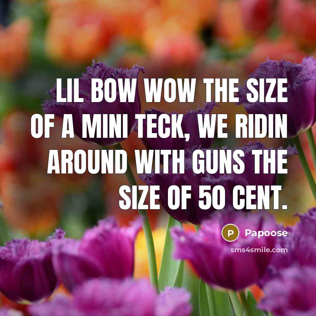 “Lil bow wow the size of a mini teck, we…” quote by Papoose