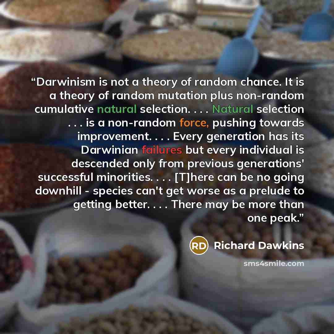 “Darwinism is not a theory of random chance. It is a theory of random mutation plus non-random cumulative natural selection. . . . Natural selection . . . is a non-random force, pushing towards improvement. . . . Every generation has its Darwinian failures but every individual is descended only…” quote by Richard Dawkins