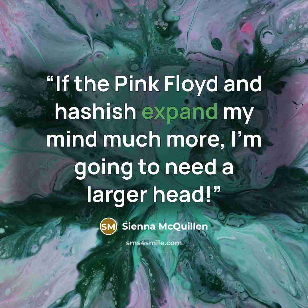 “If the Pink Floyd and hashish expand my mind much more, I'm going to need a larger head!” quote by Sienna McQuillen