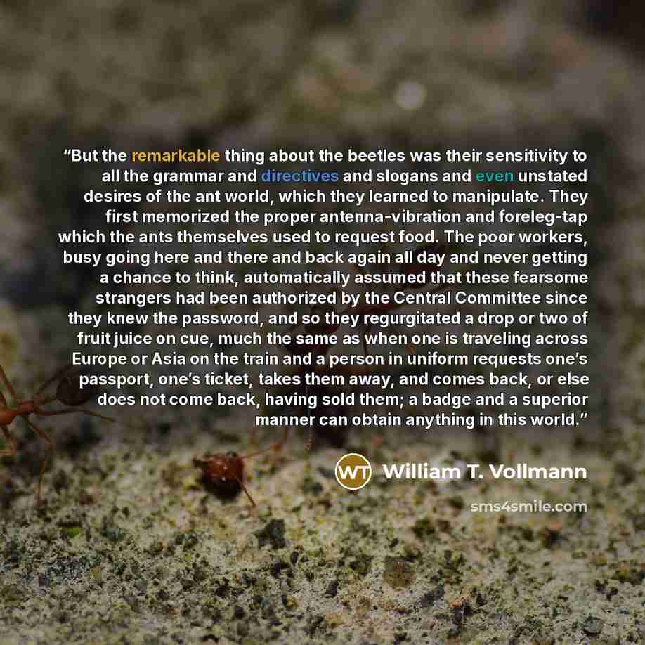 “But the remarkable thing about the beetles was their sensitivity to all the grammar and directives and slogans and even unstated desires of the ant world, which they learned to manipulate. They first memorized the proper antenna-vibration and foreleg-tap which the ants themselves used to request…” quote by William T. Vollmann
