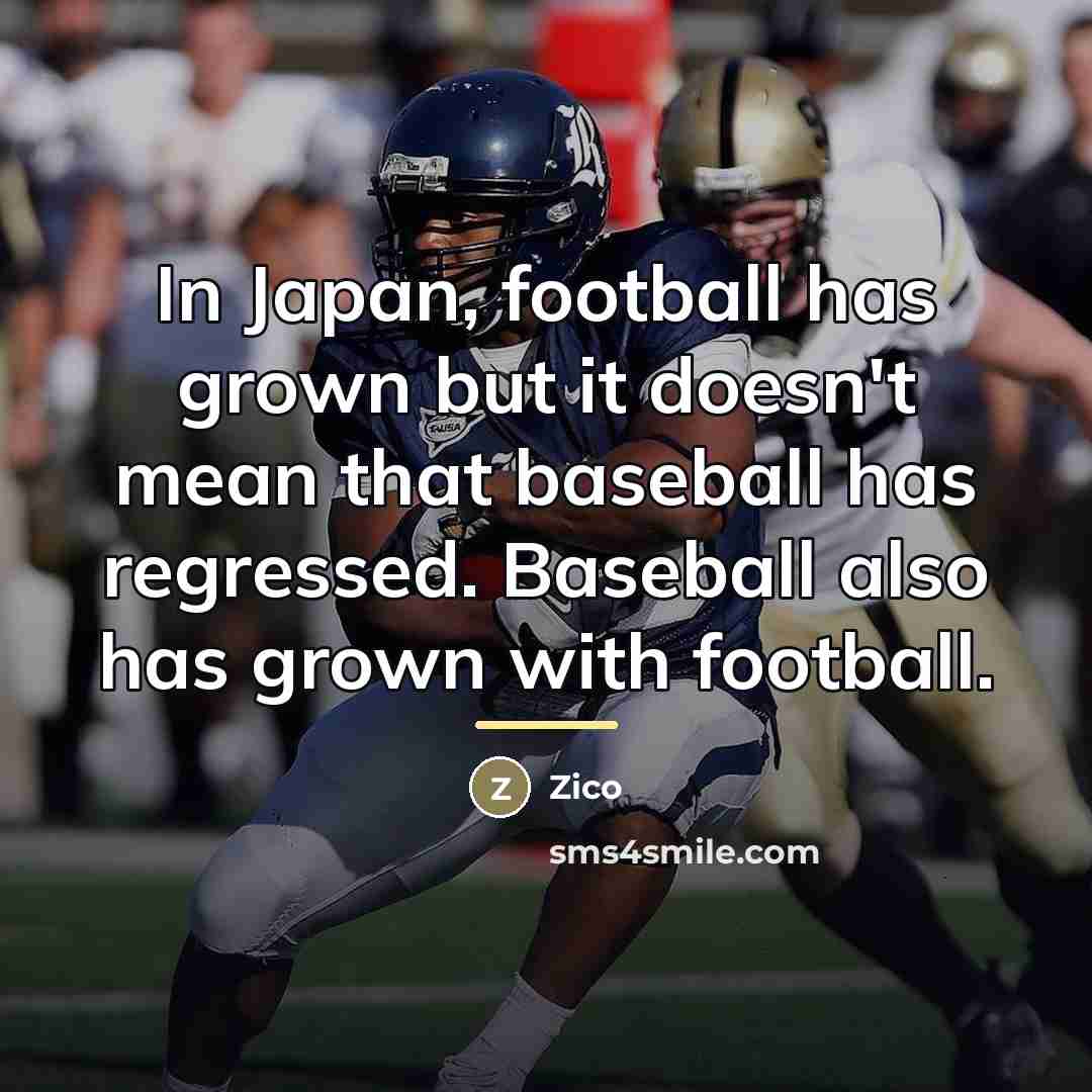 “In Japan, football has grown but it doesn't mean that…” quote by Zico