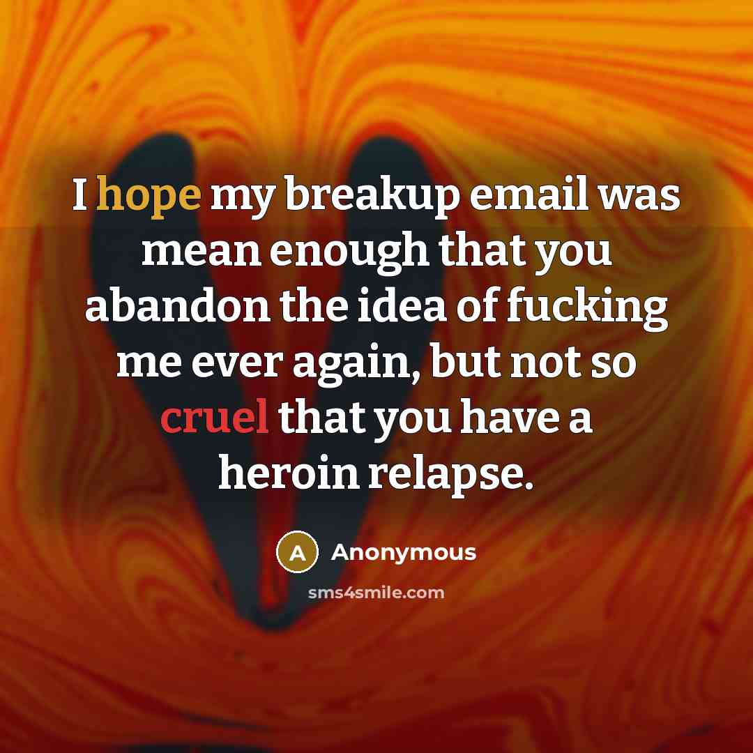 “I hope my breakup email was mean enough that you abandon the idea of fucking me ever again, but not so cruel that you have a heroin relapse.” quote by Anonymous