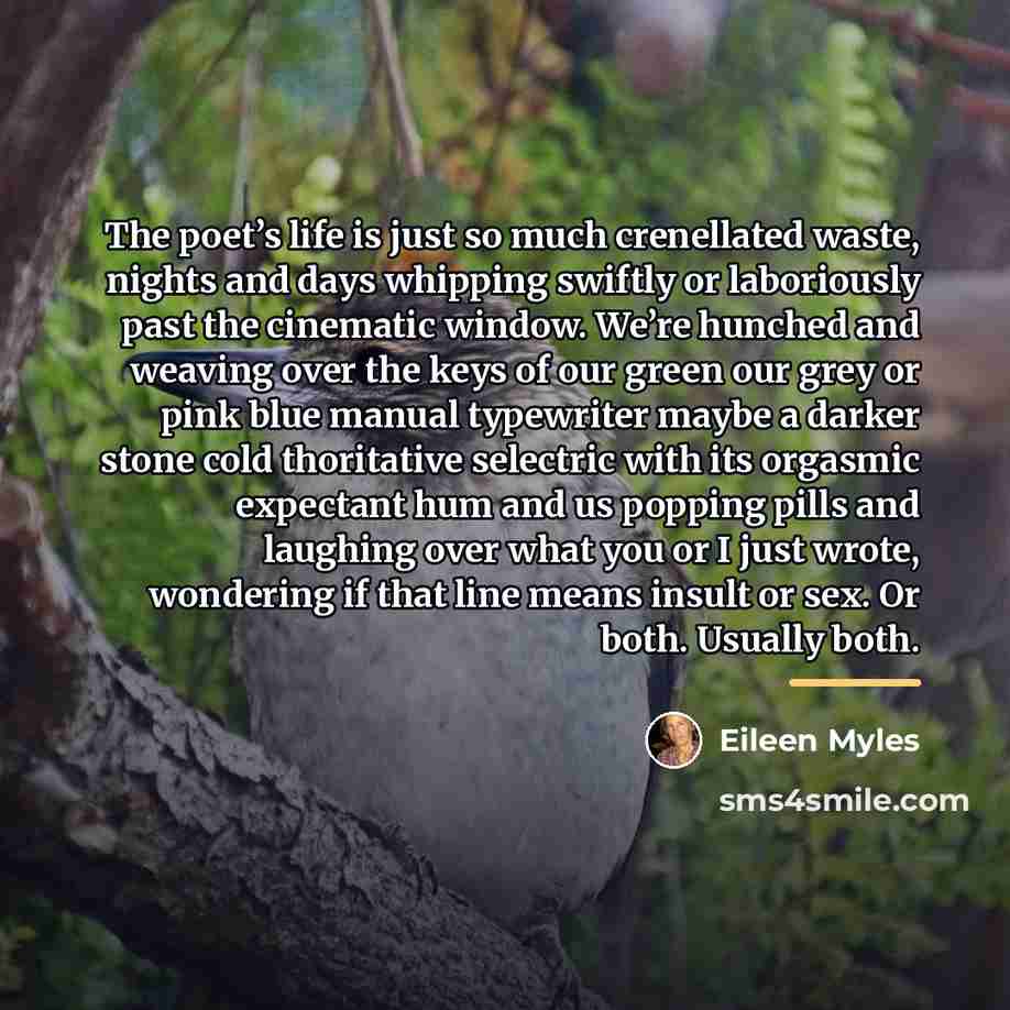 “The poet’s life is just so much crenellated waste, nights…” quote by Eileen Myles