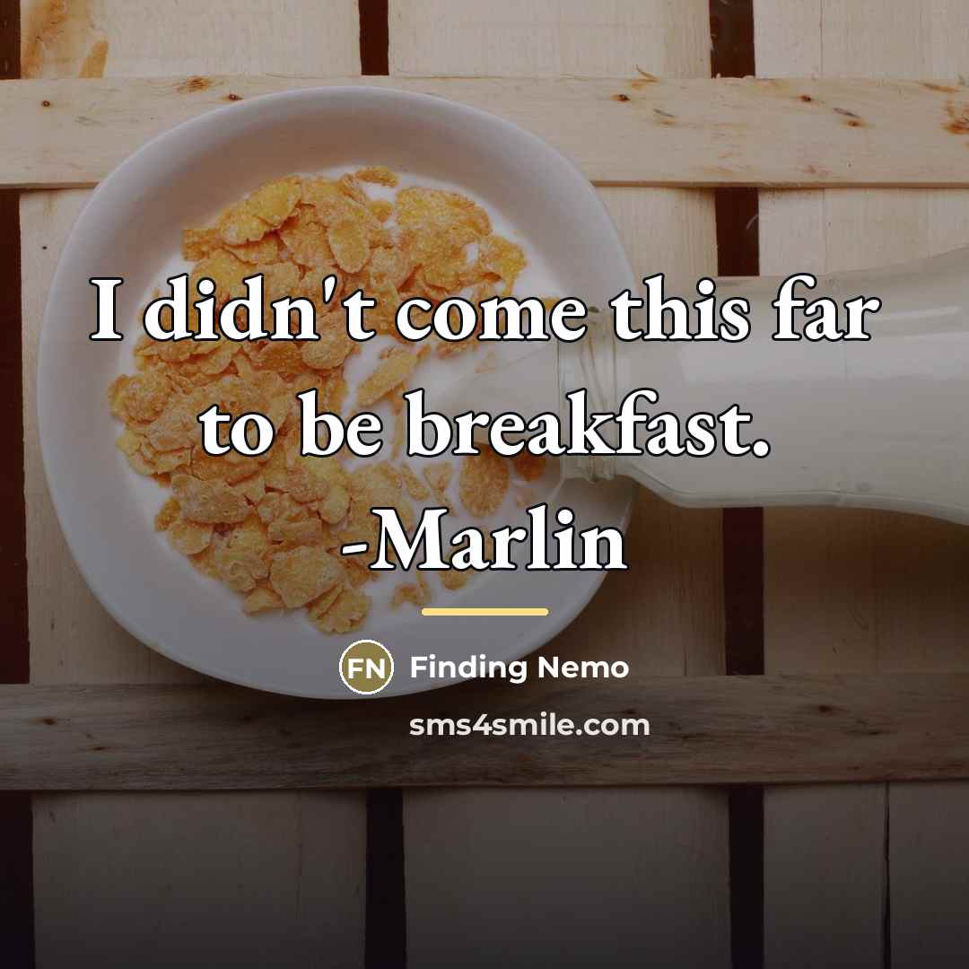 “I didn't come this far to be breakfast. -Marlin…” quote by Finding Nemo