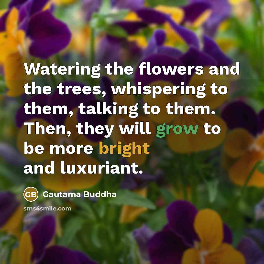 “Watering the flowers and the trees, whispering to them, talking…” quote by Gautama Buddha