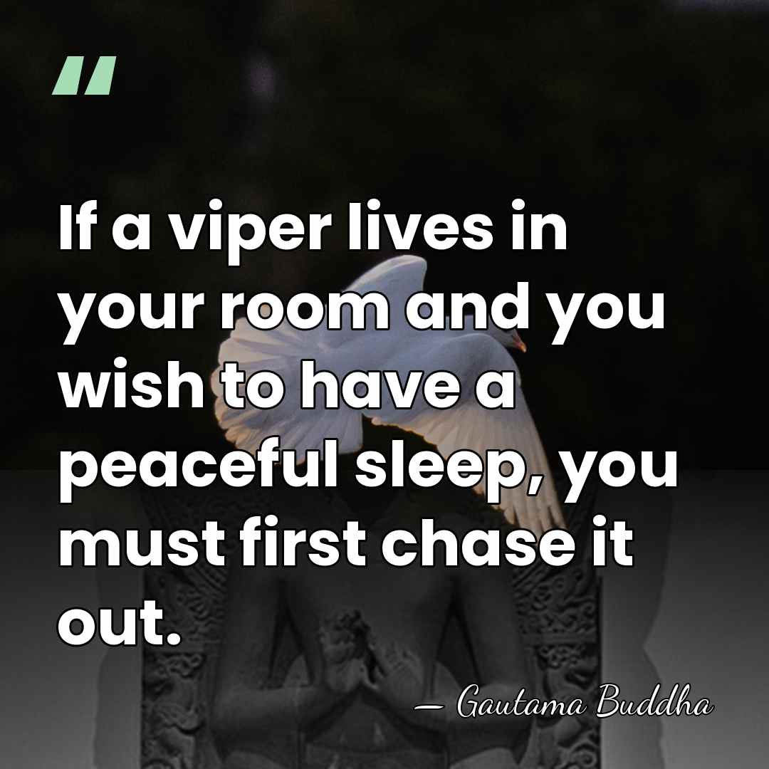If a viper lives in your room and you wish to have&hellip; - Gautama Buddha