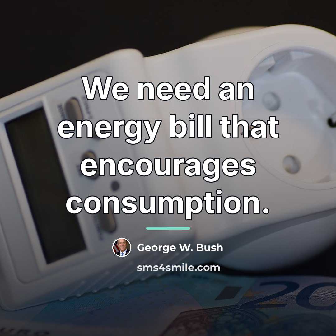 “We need an energy bill that encourages consumption.…” quote by George W. Bush