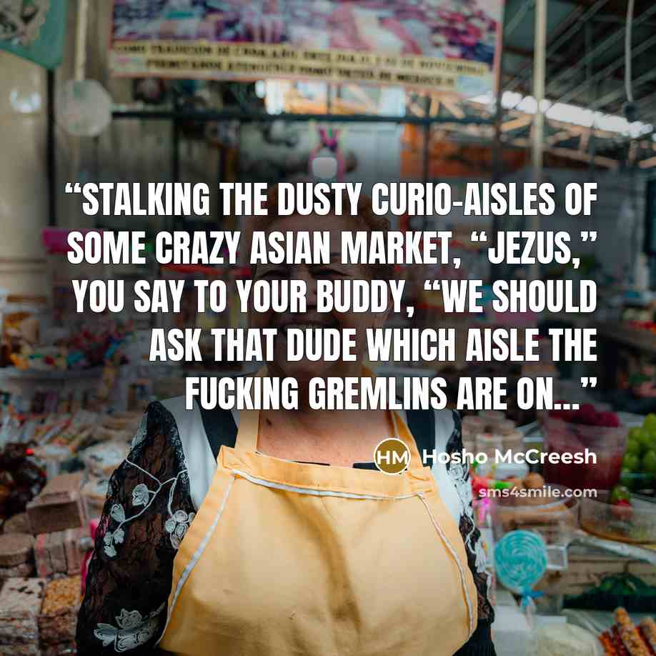 “Stalking the dusty curio-aisles of some crazy Asian market, “Jezus,” you say to your buddy, “we should ask that dude which aisle the fucking Gremlins are on…” quote by Hosho McCreesh