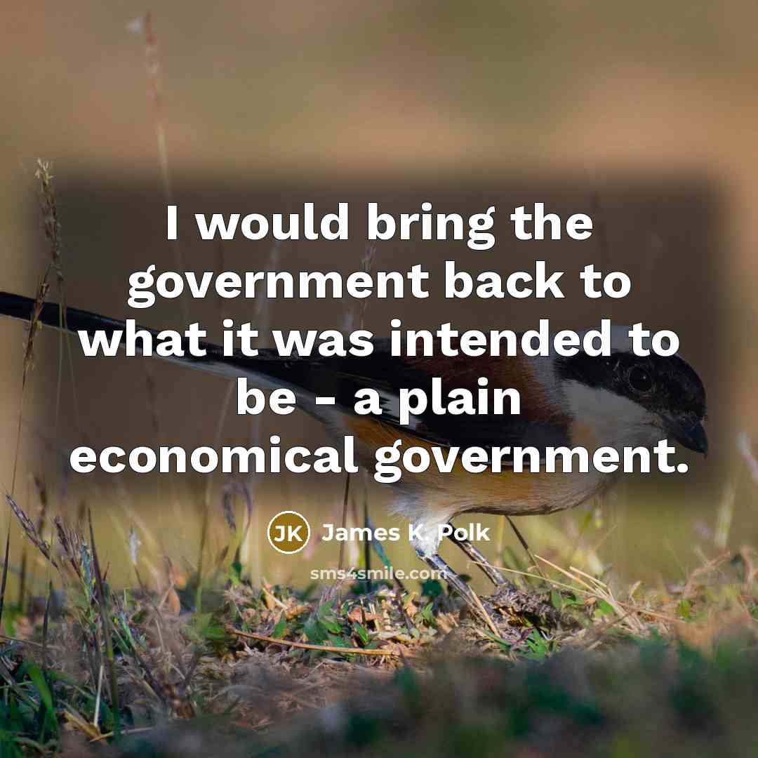 “I would bring the government back to what it was…” quote by James K. Polk