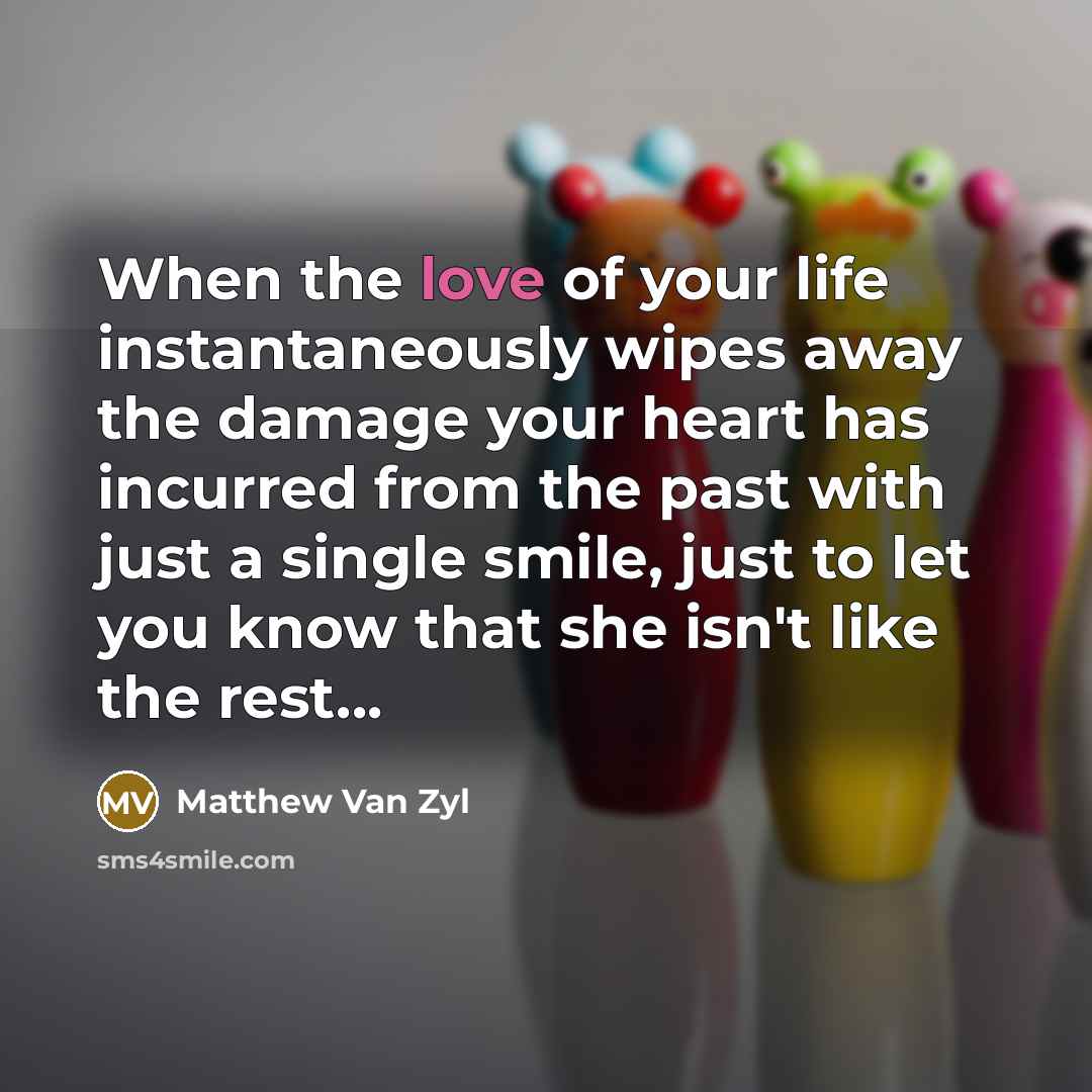 “When the love of your life instantaneously wipes away the…” quote by Matthew Van Zyl