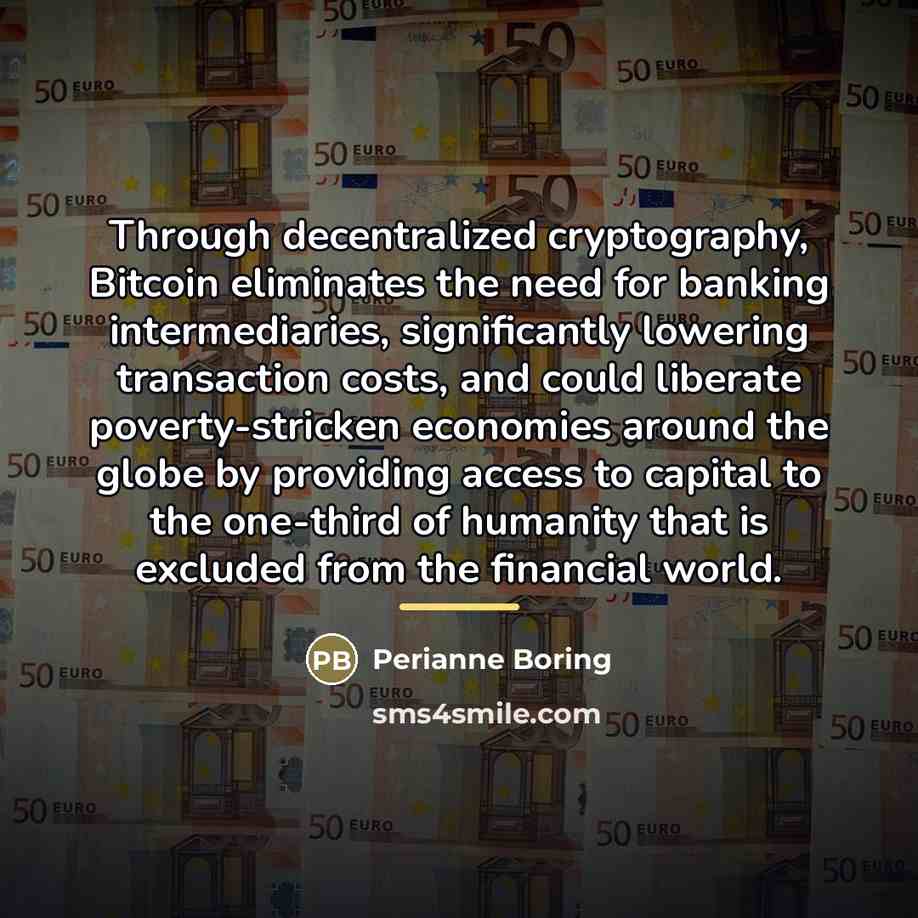 “Through decentralized cryptography, Bitcoin eliminates the need for banking intermediaries,…” quote by Perianne Boring