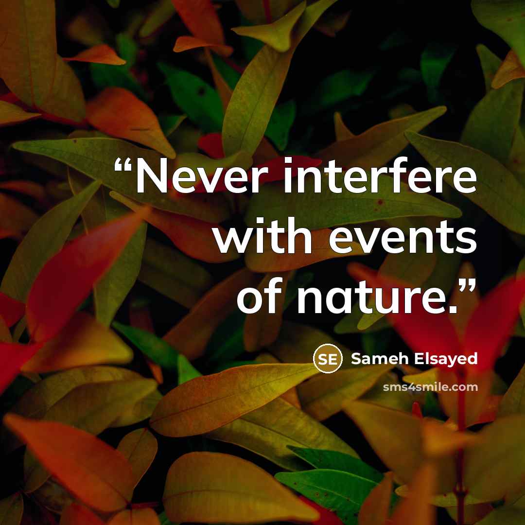 “Never interfere with events of nature.” quote by Sameh Elsayed