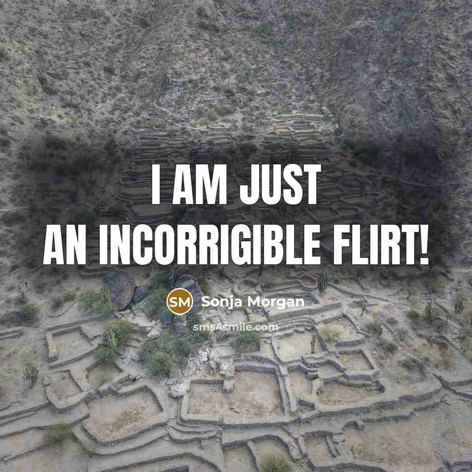 “I am just an incorrigible flirt!…” quote by Sonja Morgan