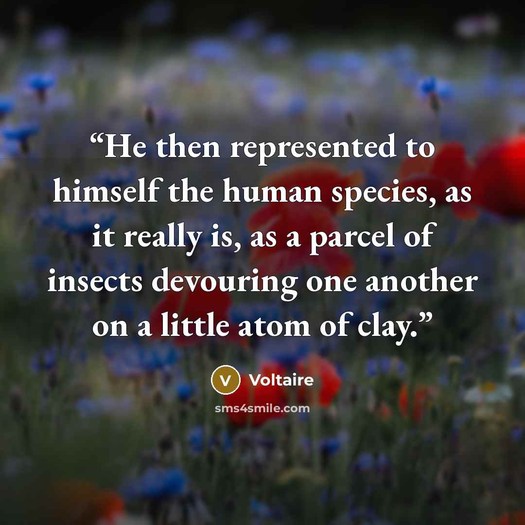 “He then represented to himself the human species, as it really is, as a parcel of insects devouring one another on a little atom of clay.” quote by Voltaire