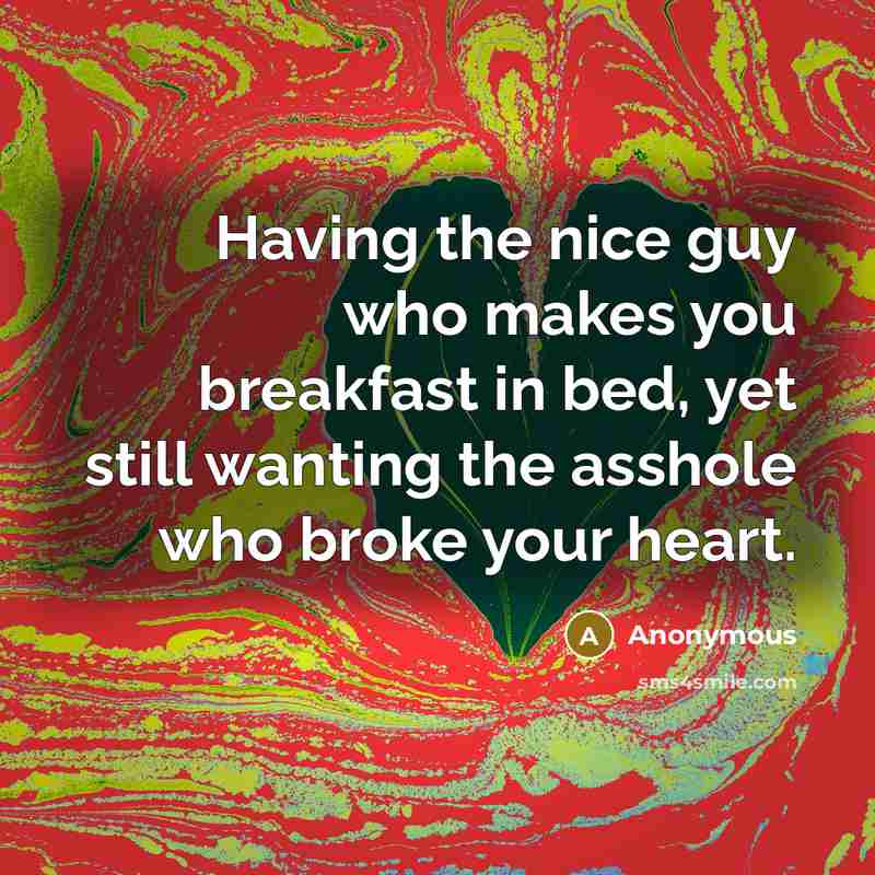 “Having the nice guy who makes you breakfast in bed, yet still wanting the asshole who broke your heart.” quote by Anonymous