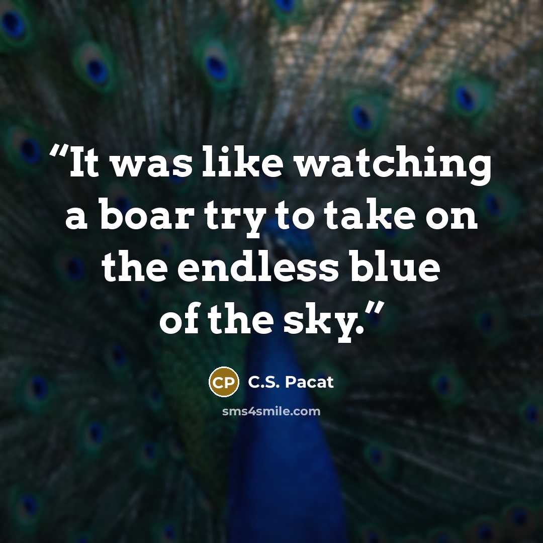 “It was like watching a boar try to take on the endless blue of the sky.” quote by C.S. Pacat